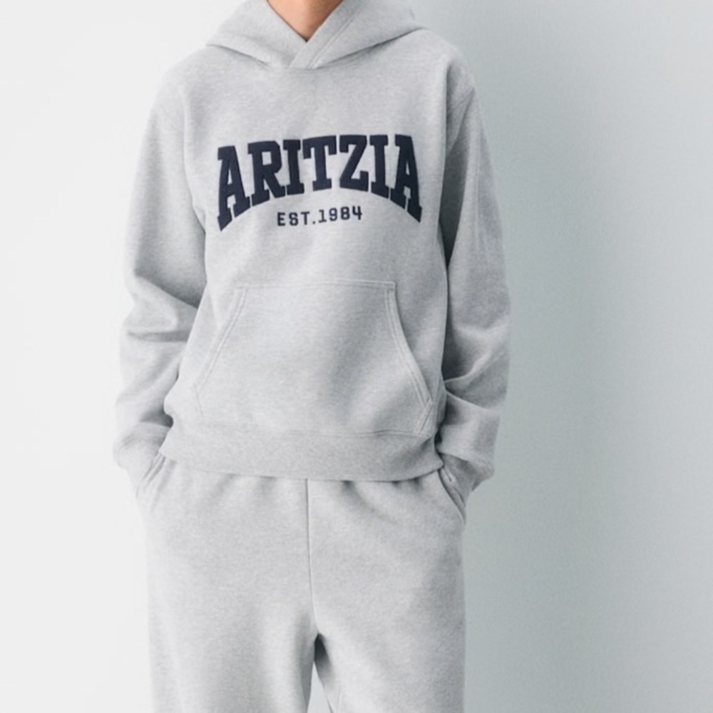 Aritzia perfect hoodie
